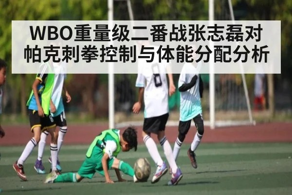 WBO重量级二番战张志磊对帕克刺拳控制与体能分配分析